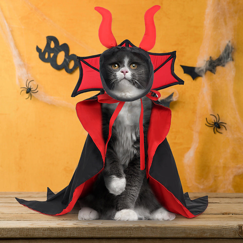 Disfraz vampiro gato